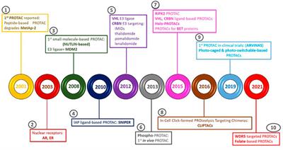 Options to Improve the Action of PROTACs in Cancer: Development of Controlled Delivery Nanoparticles